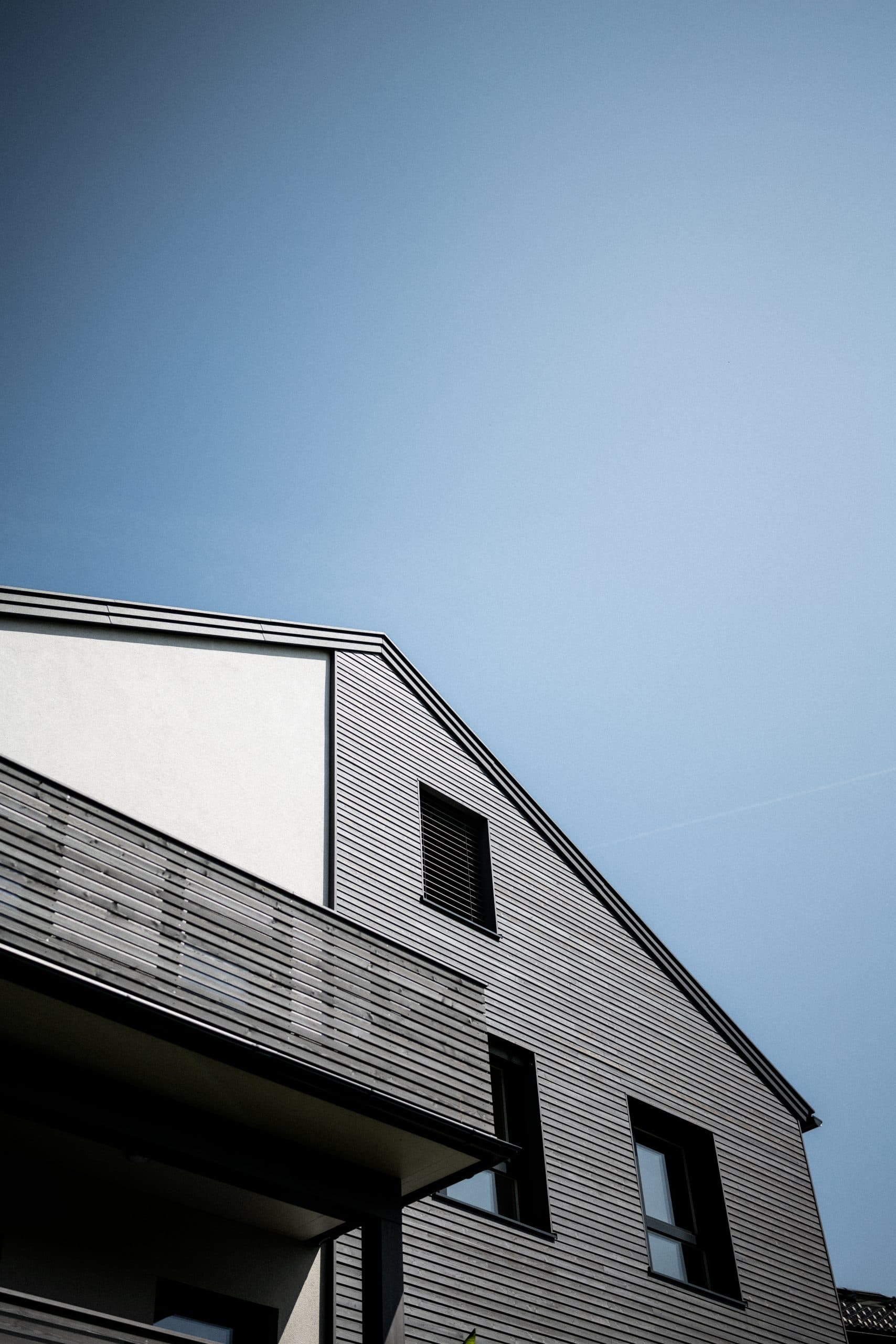 Sonnengenuss Bild 10