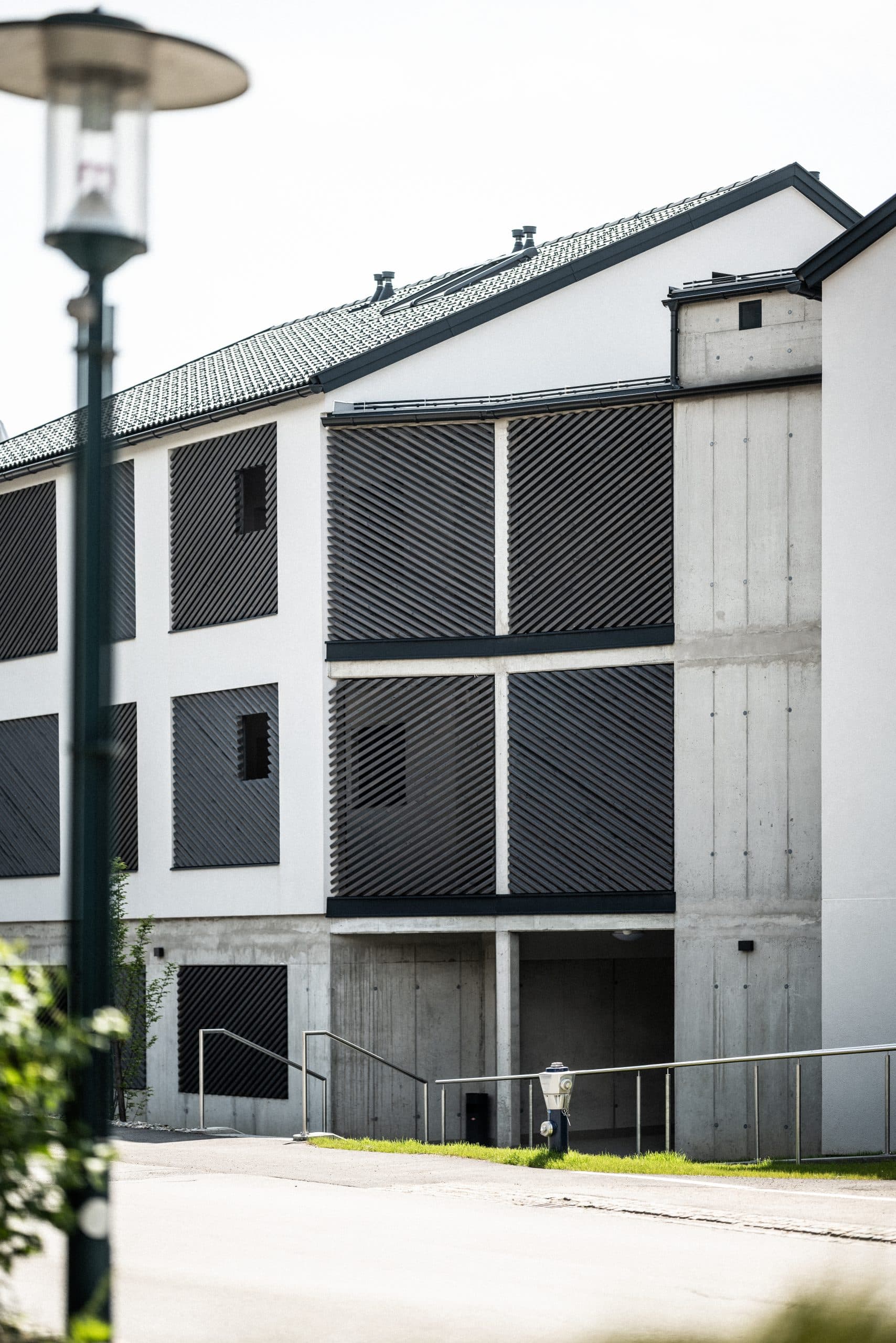 Sonnengenuss Bild 12