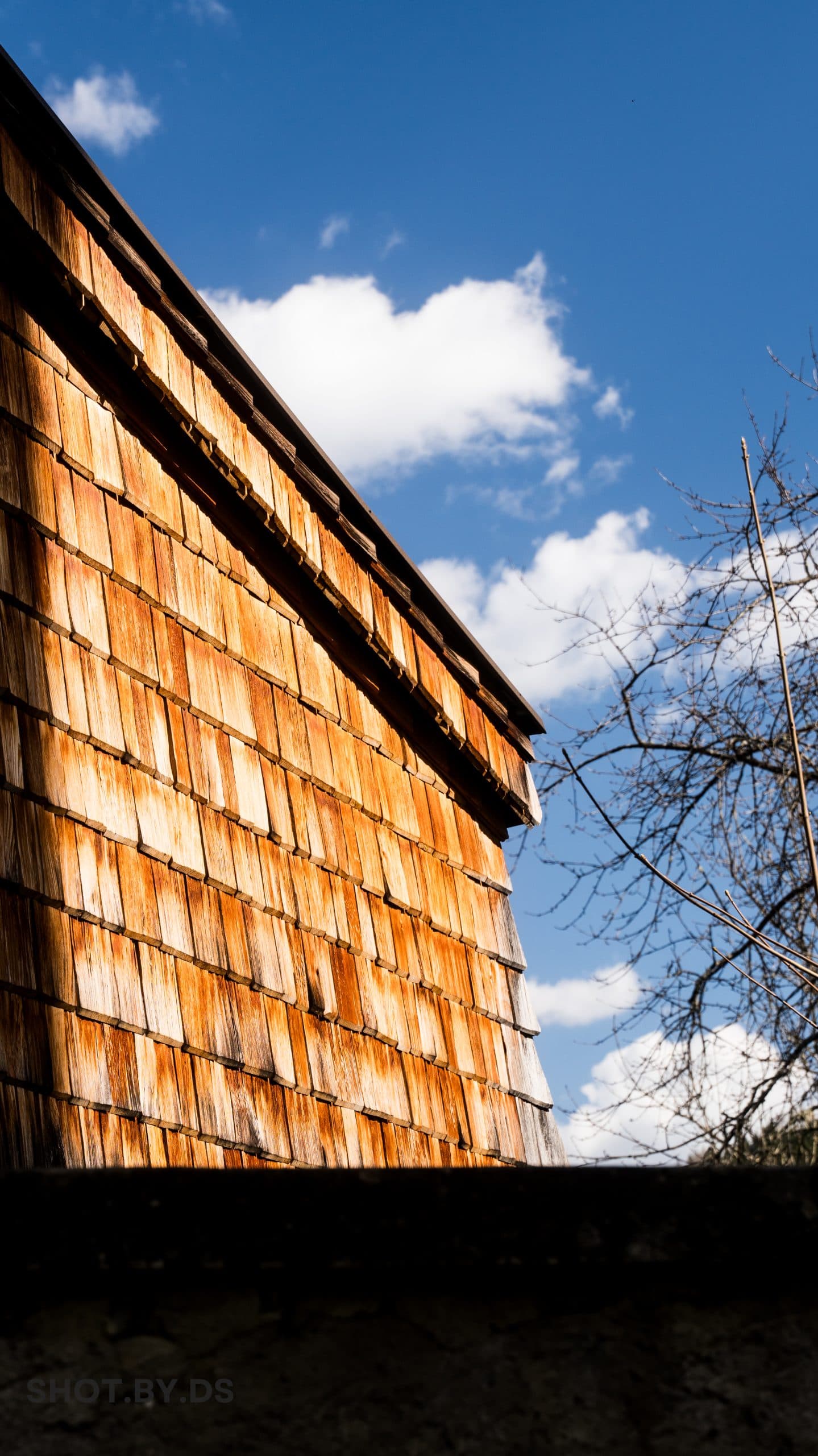 Altholzarbeiten Bild 1